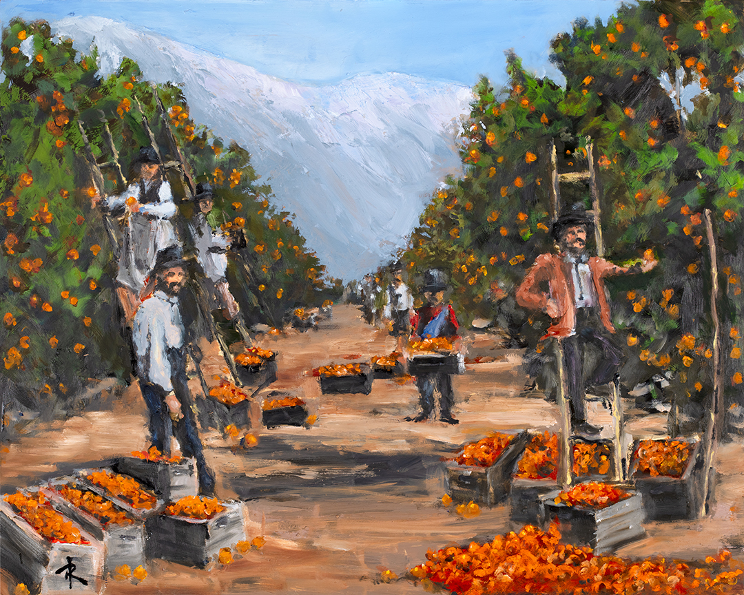 Orange Grove and Snow | Randall-Holbrook