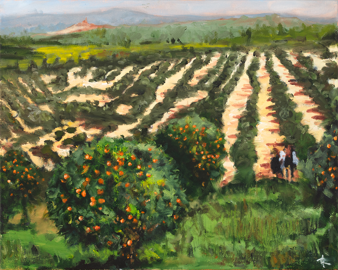 Strocher Groves | Randall Holbrook